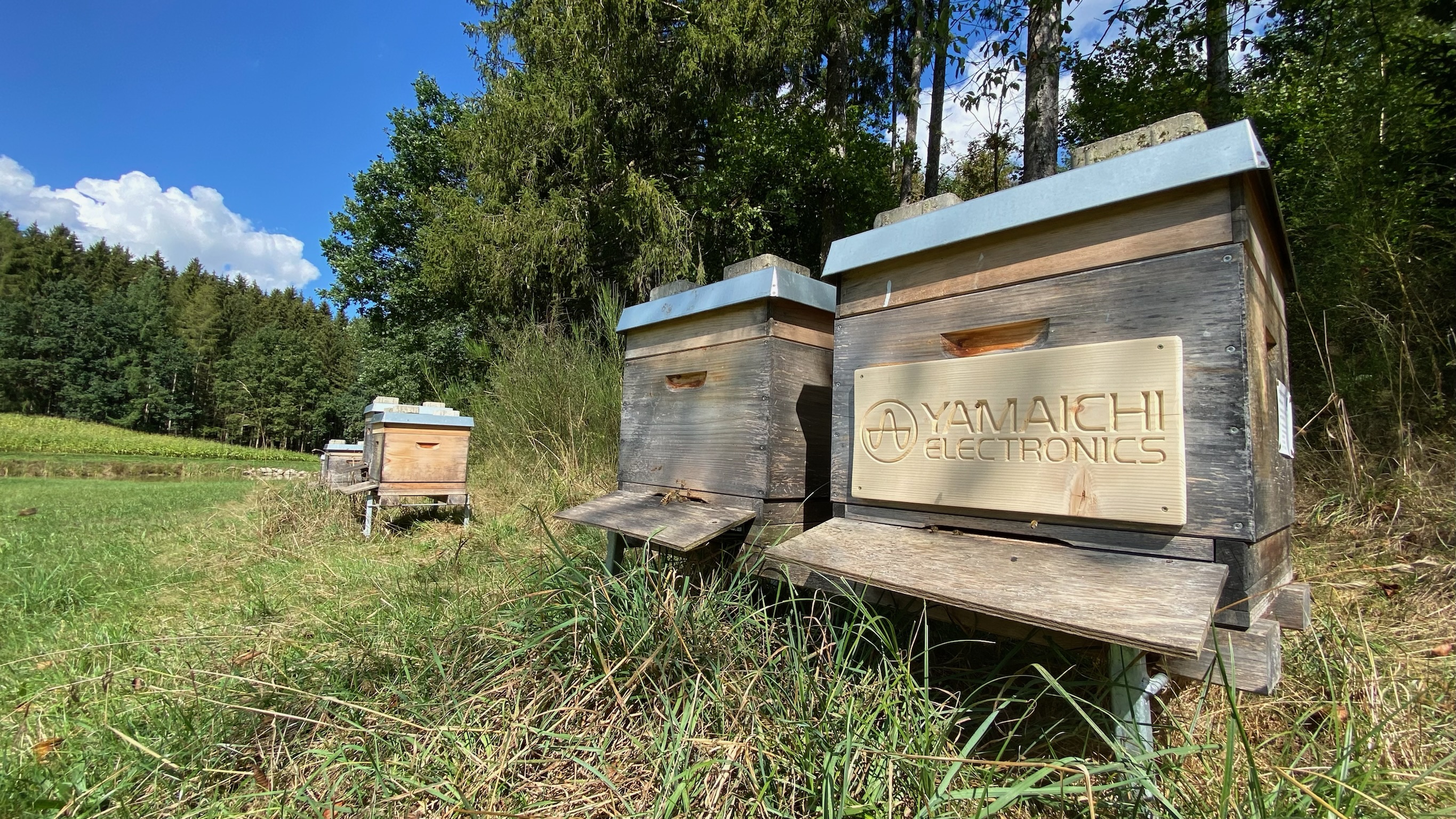 [Translate to German:] Honey Landscapes - Bee Sponsorship
